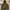 Columbia Gorpcore Windbreaker Pria brown photo 6