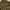 Columbia Gorpcore Windbreaker Pria brown photo 3