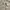 Columbia Casual Windbreaker Pria white photo 3
