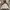 The North Face Gorpcore Windbreaker Pria white photo 1