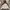 The North Face Gorpcore Windbreaker Pria White