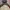 The North Face Gorpcore Windbreaker Pria white photo 2