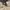 The North Face Gorpcore Windbreaker Pria white photo 5