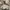 The North Face Gorpcore Windbreaker Pria white photo 7