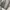 Vintage Y2K Jeans Pria gray photo 6