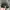 New Era Vintage Streetwear Hat Pria pink black photo 4