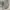 Casual Sweatshirt Pria gray photo 1