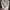 Converse Casual Sweater Pria multicolor photo 3