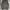 Casual Vest Pria gray photo 1