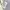 Tommy Hilfiger Vintage Casual Casual shirt Pria white gray photo 4