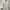 Y2K Grunge Shirt Wanita white photo 3