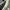 Converse Casual Sneakers Wanita white black photo 3