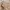 Charles and Keith Luxury Minimalist Bags & purse Wanita pink photo 5