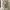 Fairy Babydoll dress Wanita cream photo 2