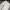 Spao Vintage Y2K Casual pants Pria white photo 5