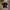 Umbro Sportswear Jersey Pria blue photo 2