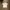 Umbro Streetwear Sportswear Jersey Pria white photo 1