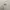 Umbro Streetwear Sportswear Jersey Pria white photo 3