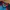 Umbro Sportswear Jersey Pria multicolor photo 3