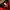 Le Coq Sportif Sportswear Jersey Pria red black photo 5