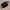 Hush Puppies Luxury Minimalist Bags & purse Wanita black photo 3