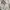 ZARA Luxury Casual Casual trouser Wanita white photo 8