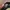 VANS Vintage Streetwear Hat Pria white black photo 3