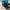 MLB Streetwear Skater Hat Pria blue photo 4