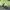 Disney Casual Sweater Pria green gray photo 4