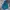 Uniqlo Casual Sweater Pria Green