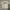 A Bathing Ape Streetwear T-shirt Pria white photo 2