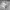 Under Armour Streetwear Skater Hoody Pria gray photo 5
