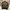 ZARA Streetwear Casual Bomber jacket Pria green photo 2