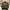 ZARA Streetwear Casual Bomber Jacket Pria Green