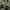 ZARA Streetwear Casual Bomber jacket Pria green photo 5