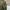 ZARA Streetwear Casual Bomber jacket Pria green photo 4