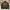ZARA Streetwear Casual Bomber Jacket Pria Green