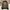 ZARA Streetwear Casual Bomber jacket Pria green photo 3