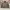 Uniqlo Streetwear Casual Harrington jacket Pria multicolor photo 1
