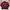 Streetwear Casual Harrington jacket Pria multicolor photo 2