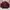 Streetwear Casual Harrington jacket Pria multicolor photo 1