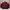 Streetwear Casual Harrington Jacket Pria Multicolor