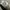 Adidas Vintage Y2K Hat Pria white black photo 3