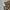 Streetwear Y2K Short Pria multicolor brown photo 5