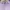H&M Casual Crop top Wanita purple photo 2