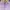 H&M Casual Crop Top Wanita Purple