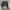 Nike Streetwear Sportswear Sweater Pria multicolor photo 1