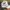 Made in USA Streetwear Luxury Hat Pria white photo 2