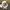 Made in USA Streetwear Luxury Hat Pria white photo 3