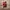 Adidas Vintage Casual Casual shoe Pria white red photo 2